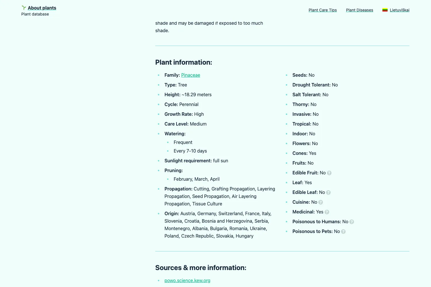 Augalo informacija: laistymas, kilmė, priežiūra.