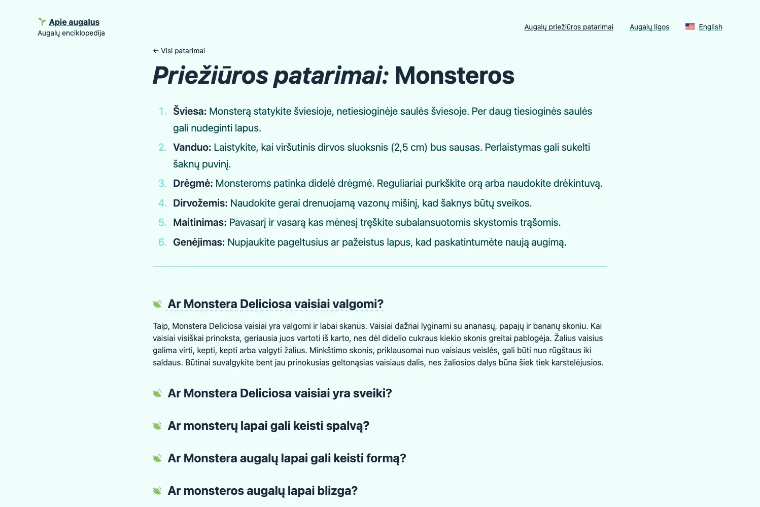 Monstera priežiūros instrukcija ir atsakymai (DUK).