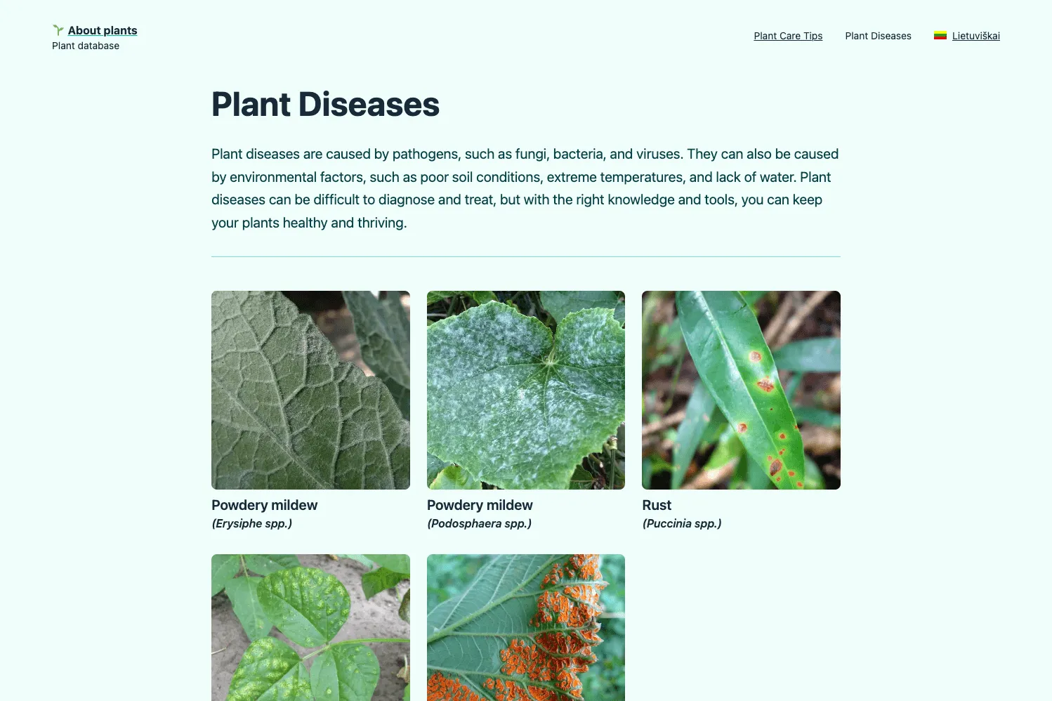 Ligų puslapis ir galerija.