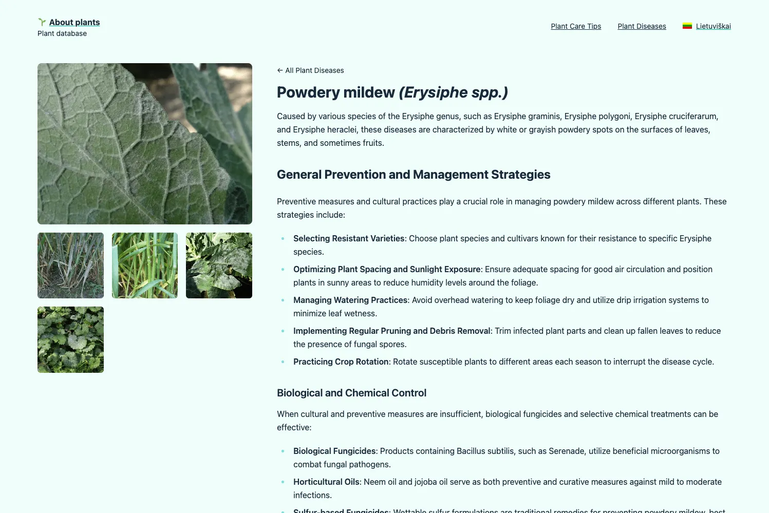 Augalo ligos prevencijos ir kontrolės aprašymas.