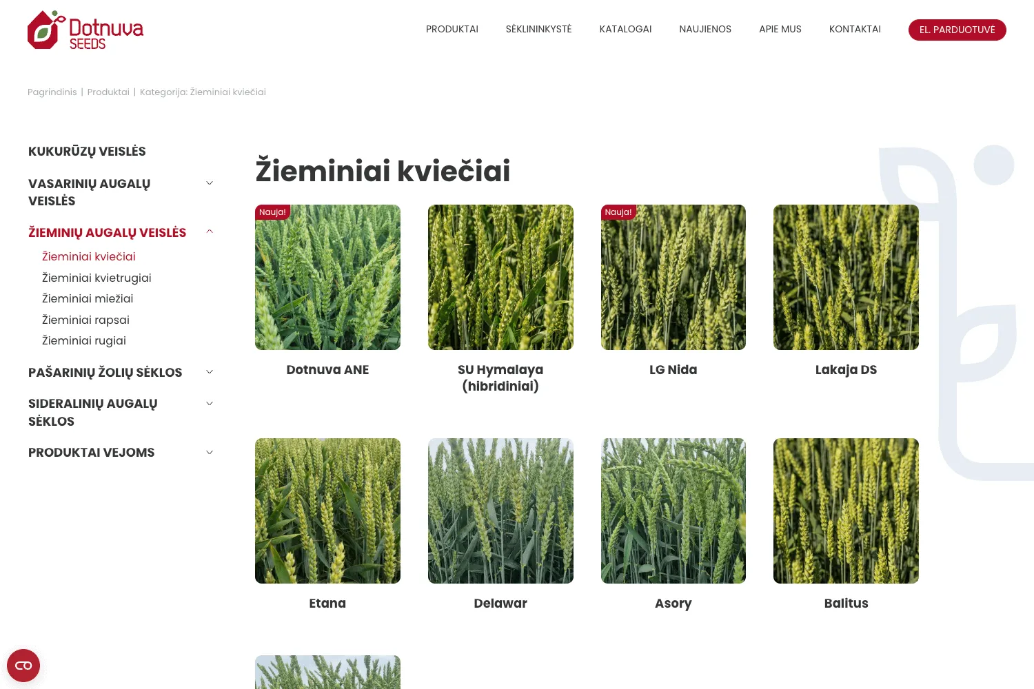 Dotnuvos sėklų katalogo struktūra, rodanti kukurūzų, vasarinių ir žieminių augalų veisles bei produktų meniu
