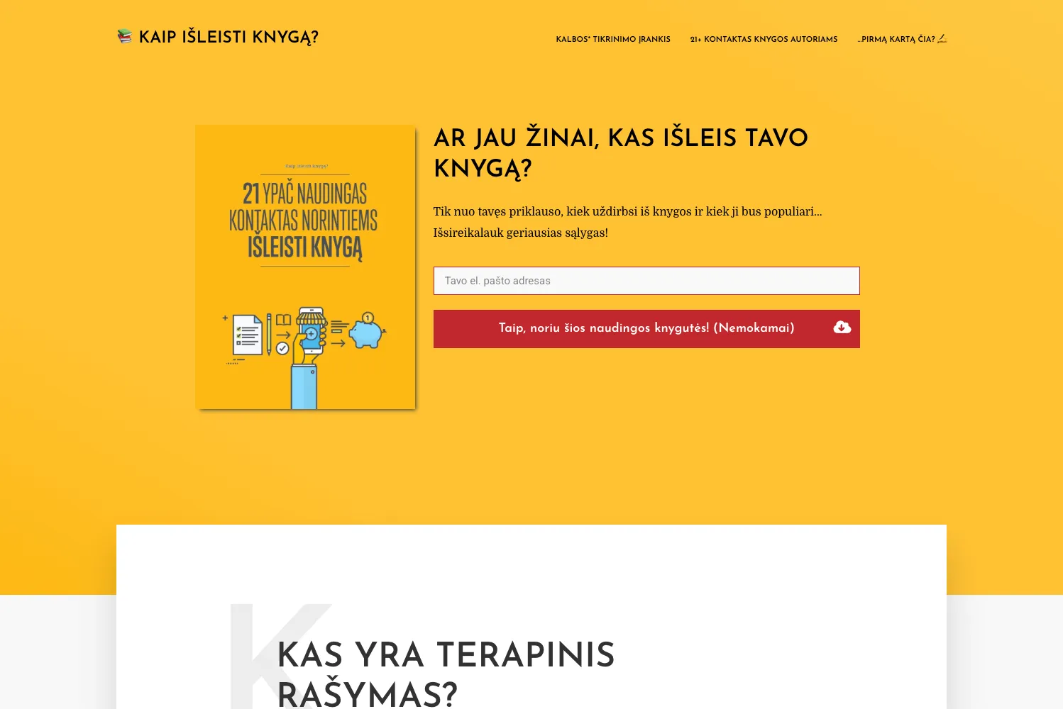 Tinklapio titulinis puslapis su trumpu aprašymu ir naujienlaiškio prenumeratos forma.